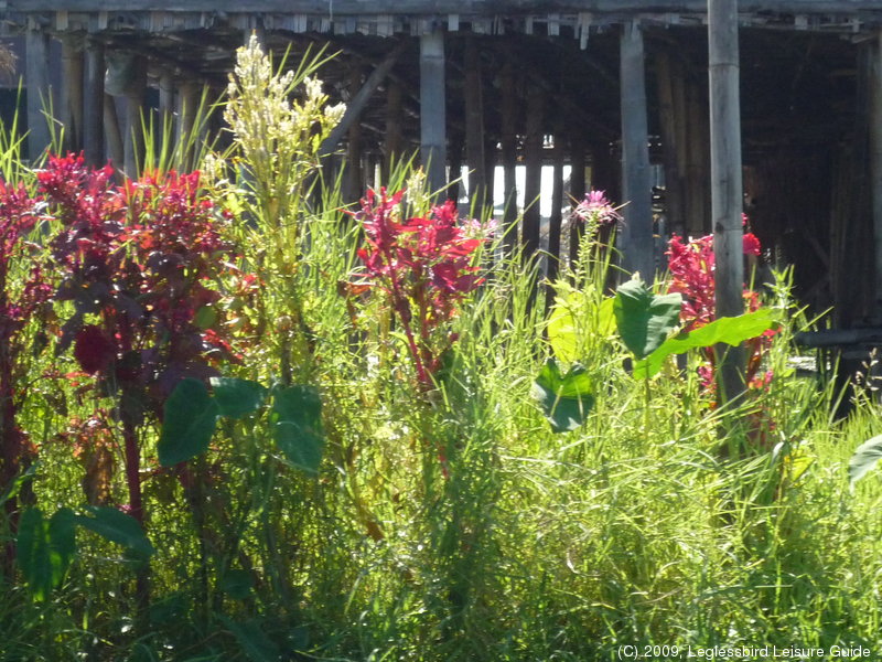 Inle Lake43